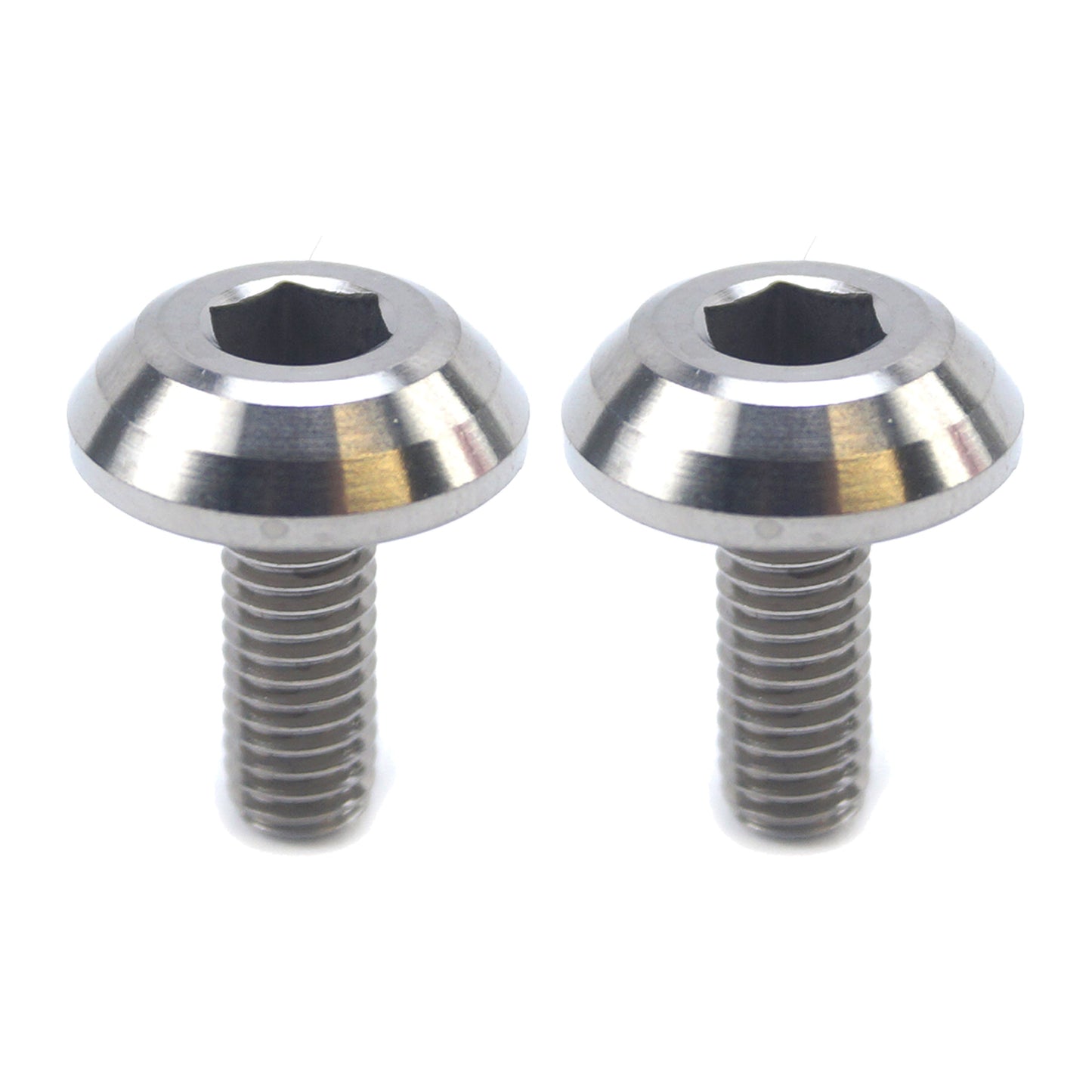 TITANIUM GR5 PANEL BOLT M6X16mm, PACK OF 2 / METRIC COARSE