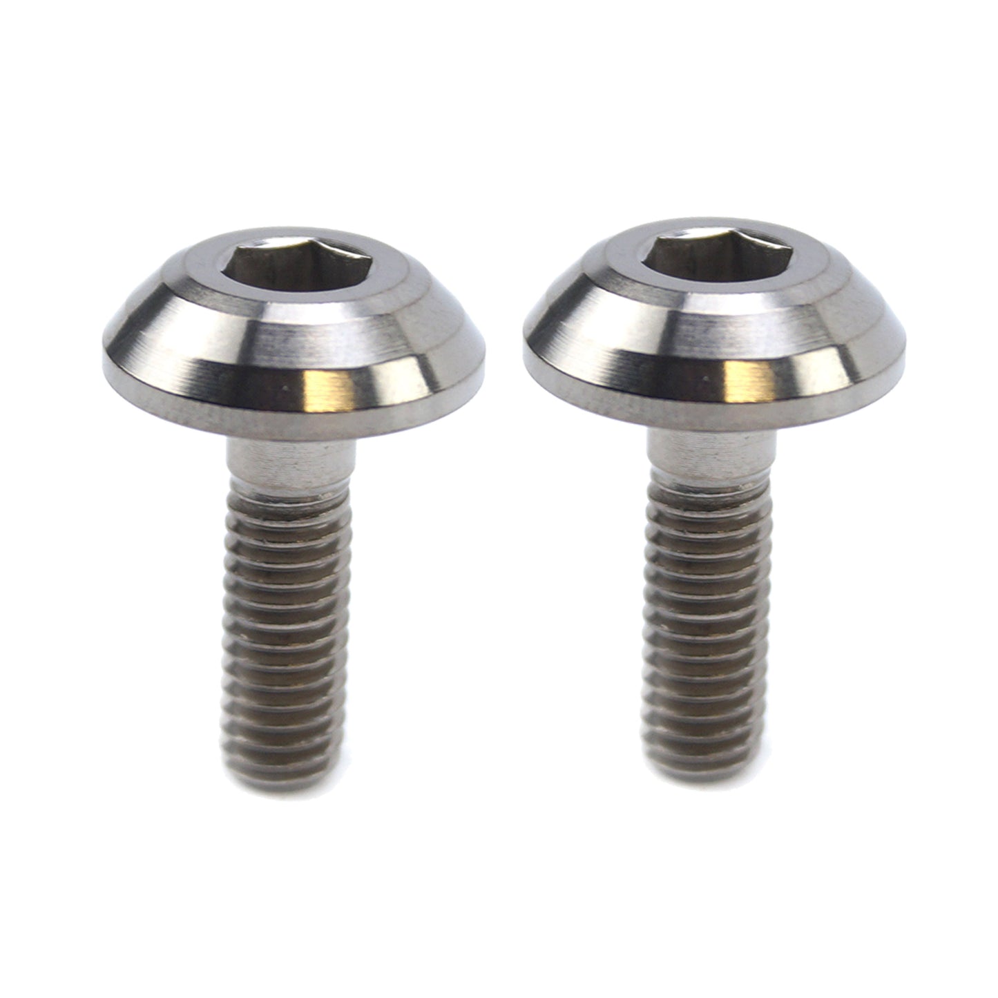 TITANIUM GR5 PANEL BOLT M6X20mm, PACK OF 2 / METRIC COARSE