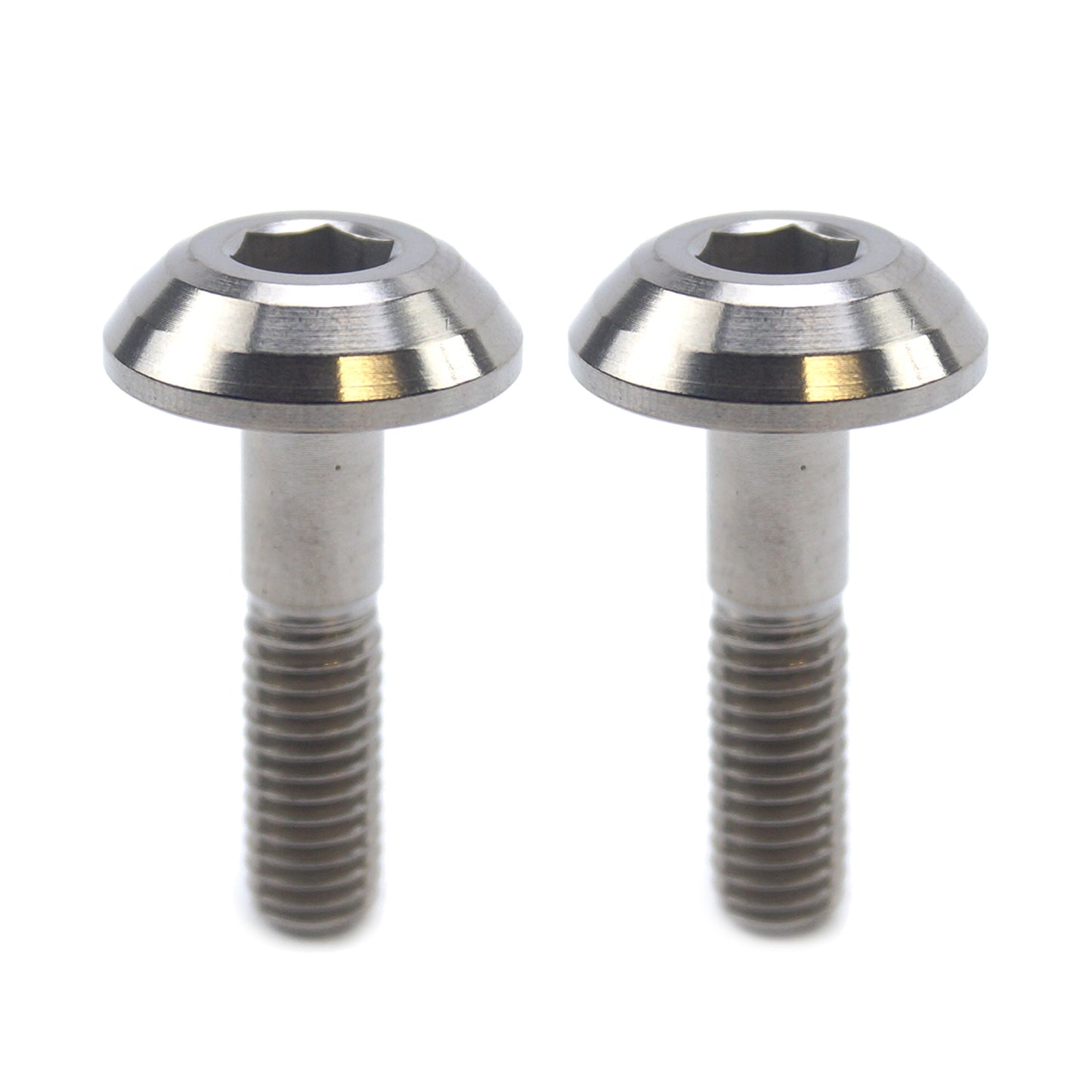TITANIUM GR5 PANEL BOLT M6X25mm, PACK OF 2 / METRIC COARSE