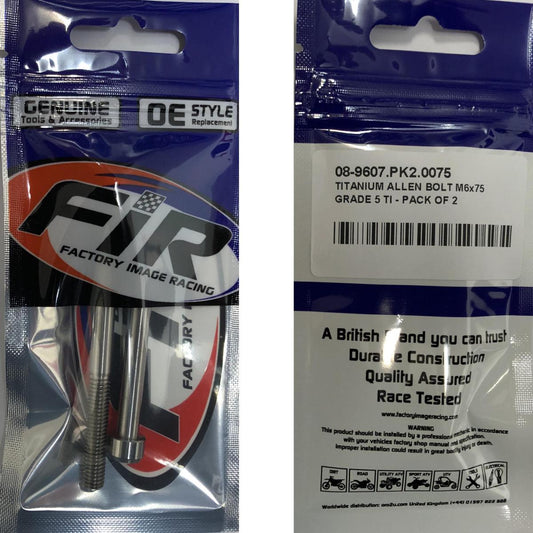 TITANIUM ALLEN BOLT M6x75, GRADE 5 TI - PACK OF 2