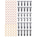 PRO BANJO BOLT KIT M8 & M10, STAINLESS STEEL BANJO BOLTS, 30 BOLTS & 75 COPPER WASHERS