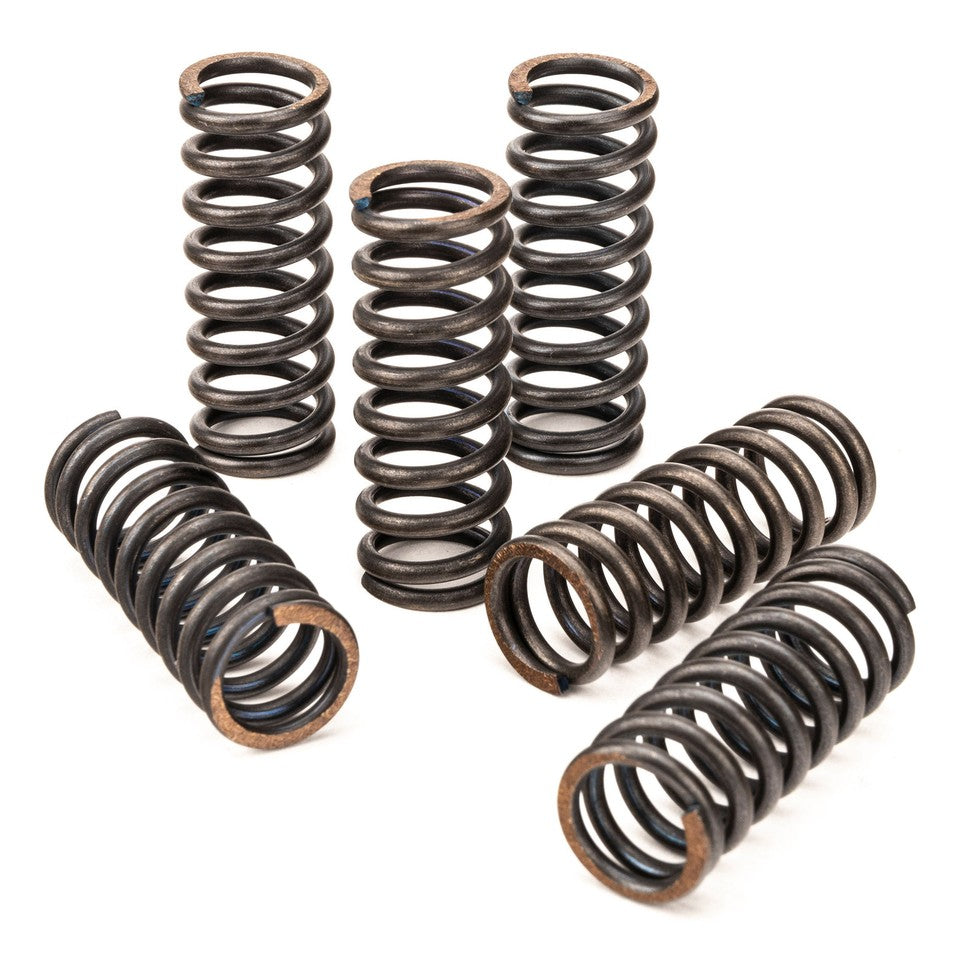 CLUTCH SPRING SET/6 CSK006