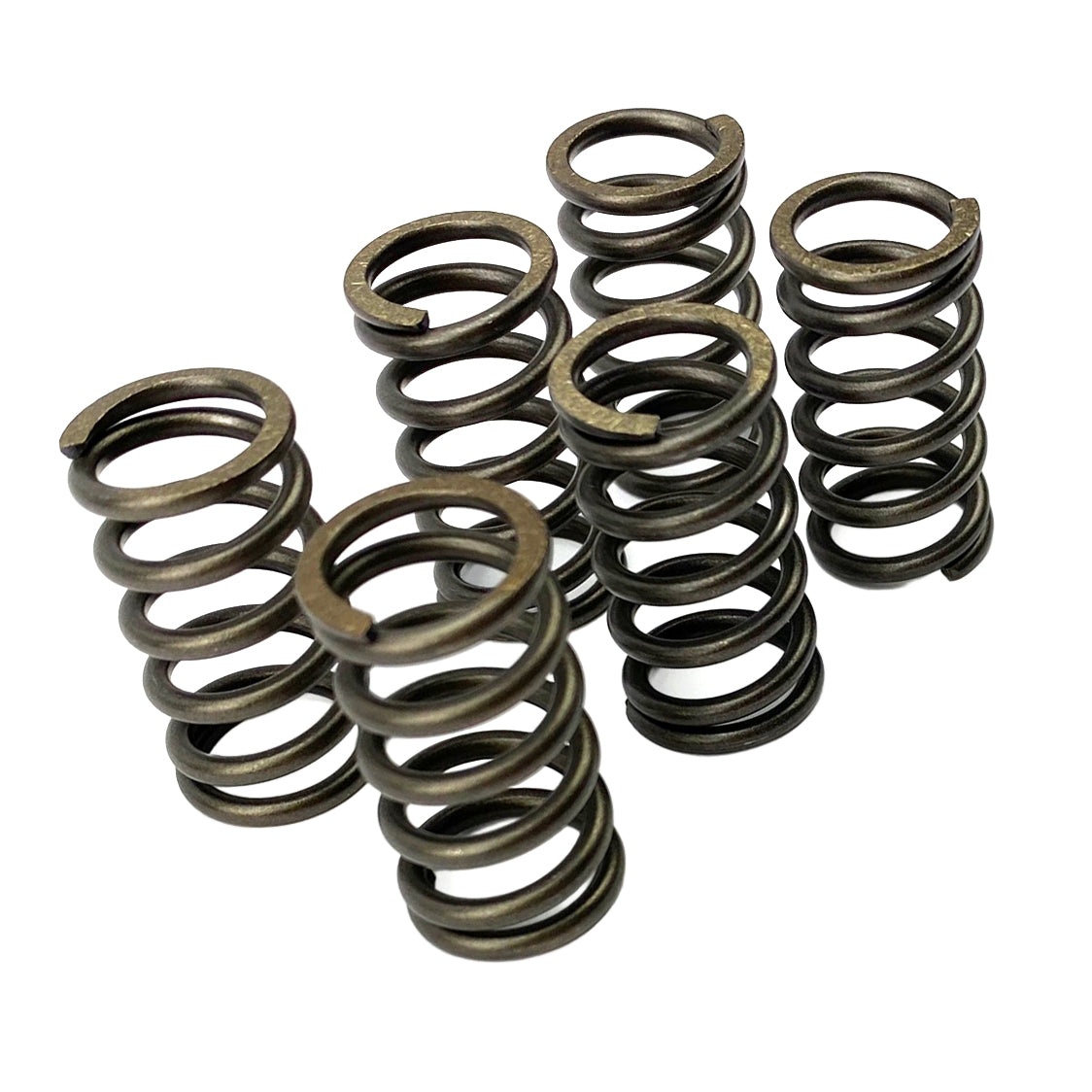 CLUTCH SPRING SET/6 CSK010