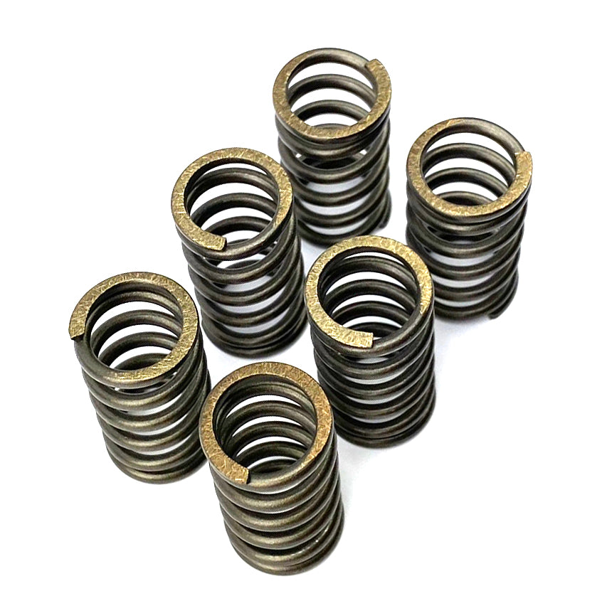 CLUTCH SPRING SET/6 CSK010