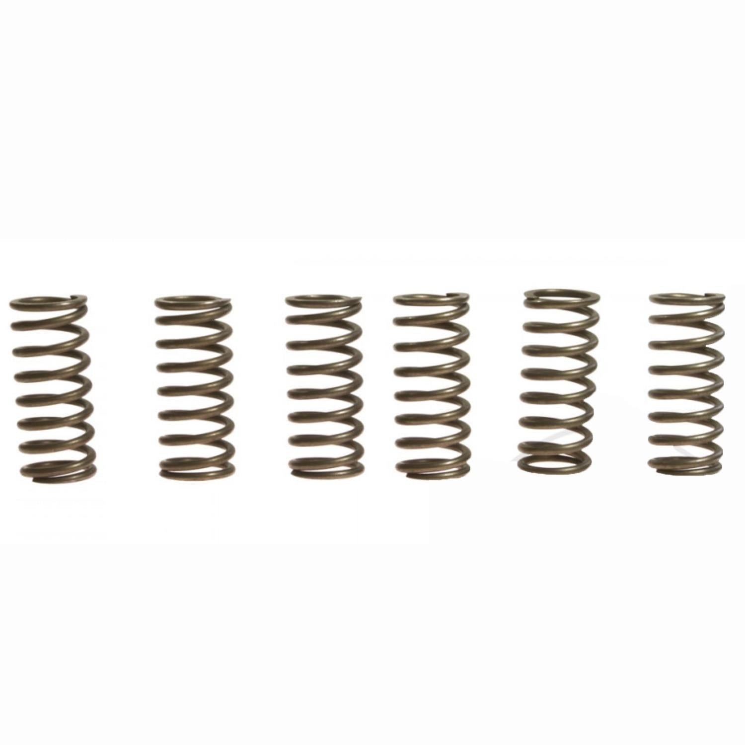 CLUTCH SPRING SET/6 EBC CSK015