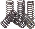 CLUTCH SPRINGS SET/6 EBC CSK018