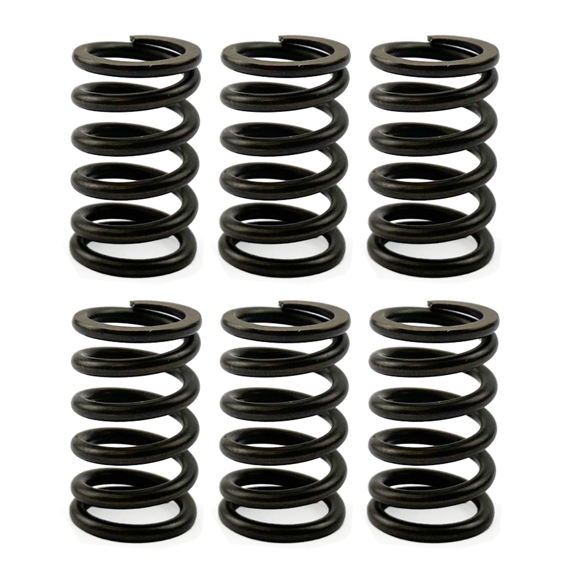 CLUTCH SPRING SET/6 KIT EBC CSK023