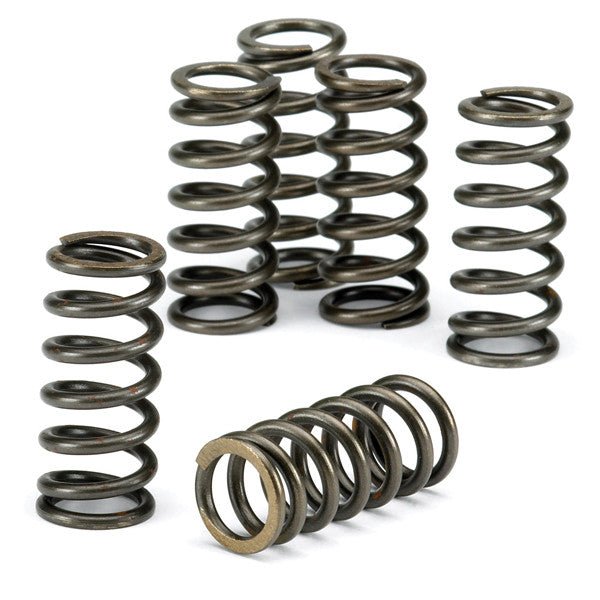CLUTCH SPRINGS SET/6 EBC CSK029