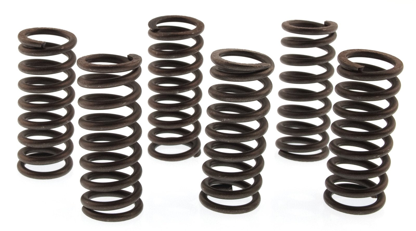 CLUTCH SPRING KIT SET/6 EBC CSK037