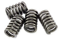 CLUTCH SPRING SET/4 EBC CSK048