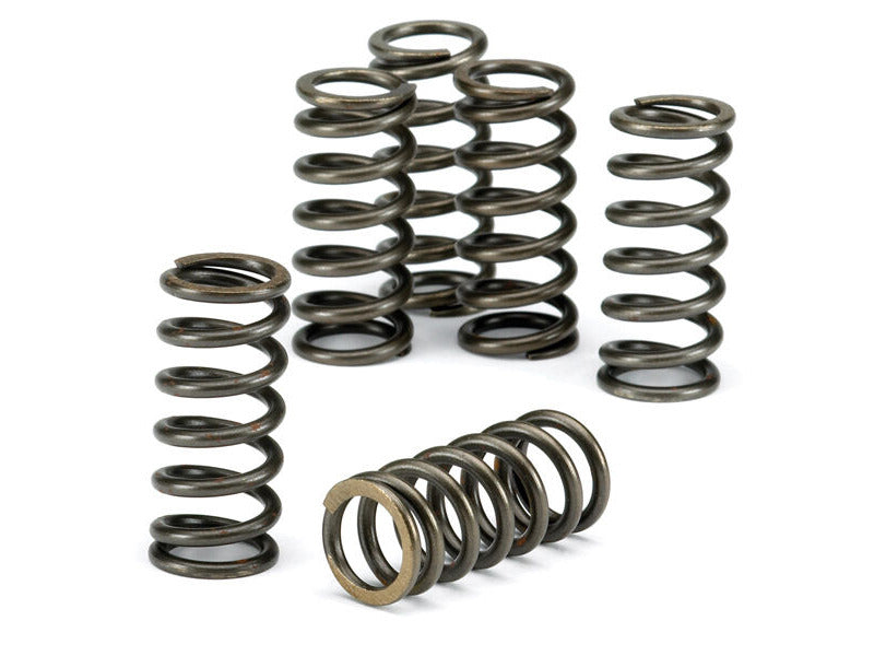 CLUTCH SPRING KIT SET/6 EBC CSK079