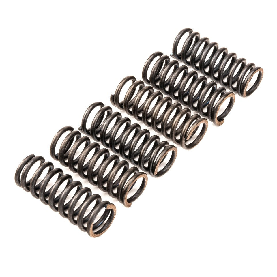 CLUTCH SPRING KIT SET/6 CSK081