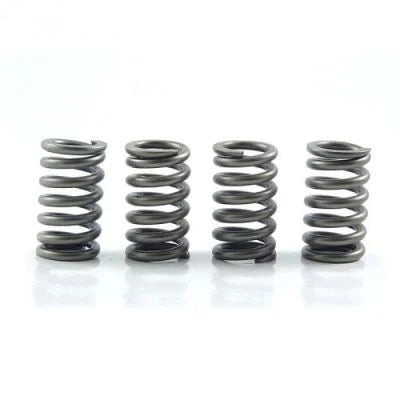 CLUTCH SPRING KIT SET/4 EBC CSK082