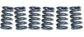 CLUTCH SPRING SET/6 EBC CSK093