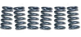 CLUTCH SPRING SET/6 EBC CSK093