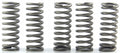 CLUTCH SPRING SET/5 EBC CSK097