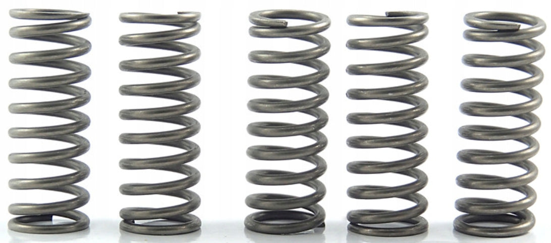 CLUTCH SPRING SET/5 EBC CSK097