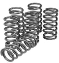 CLUTCH SPRING SET/6 EBC CSK001
