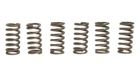 CLUTCH SPRING SET/6 EBC CSK009