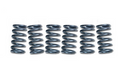 CLUTCH SPRING SET EBC CSK072