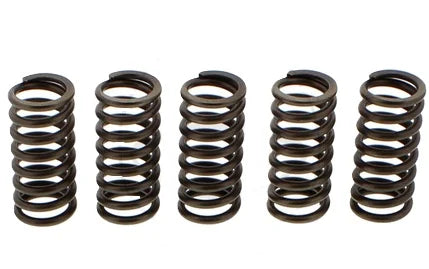 CLUTCH SPRINGS SET/5 EBC CSK137