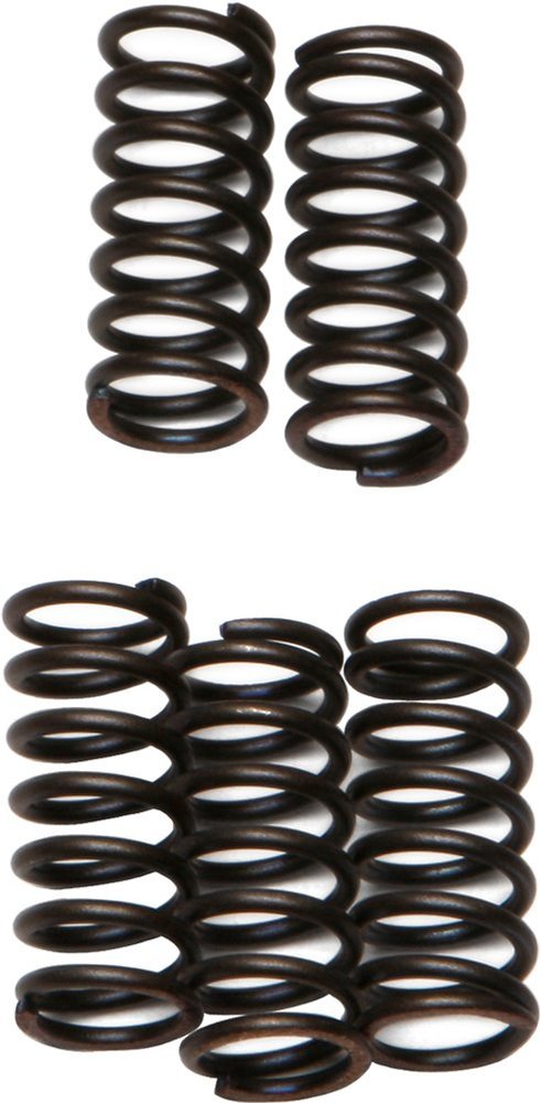 CLUTCH SPRINGS SET/5 EBC CSK132