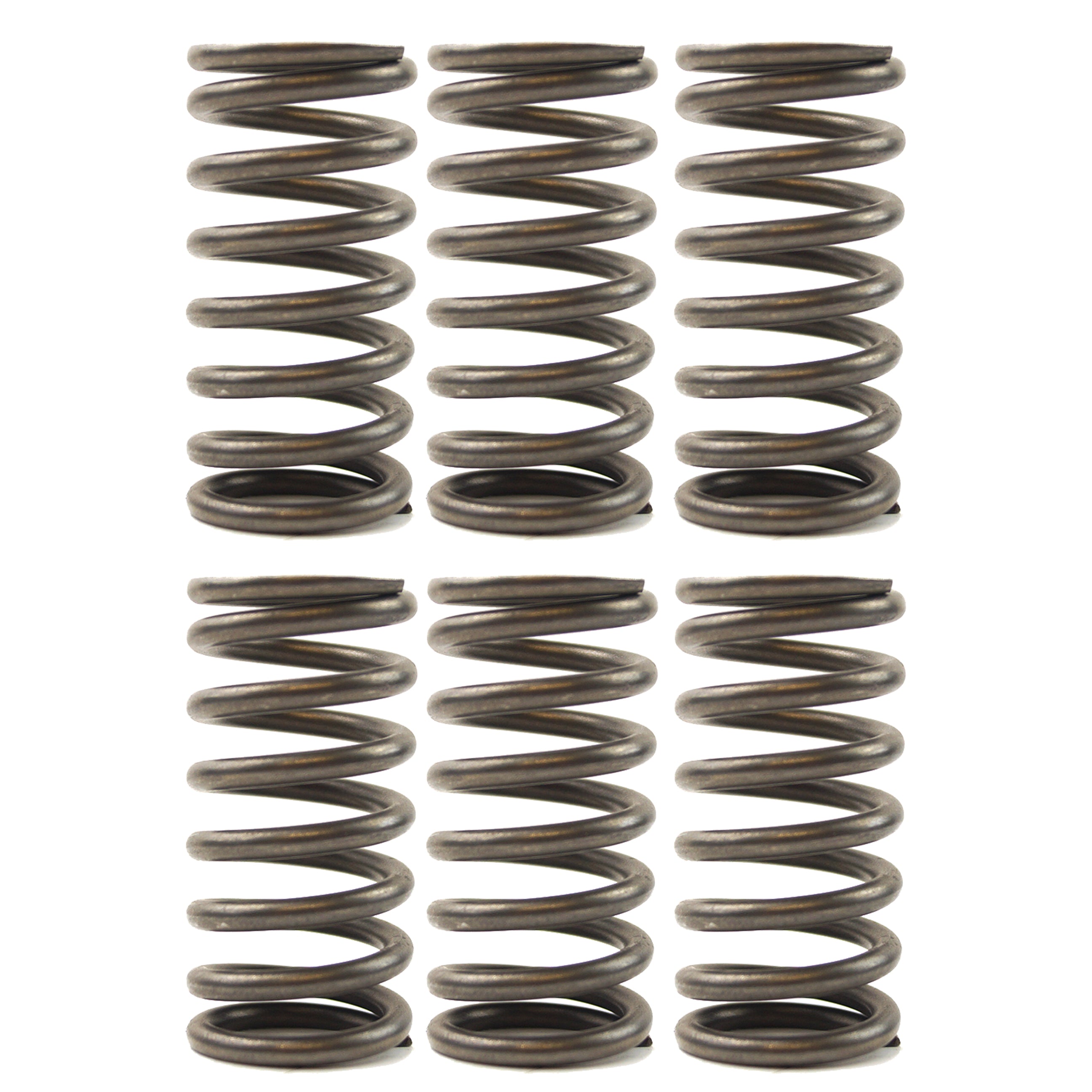 CLUTCH SPRINGS SET/6 EBC CSK136