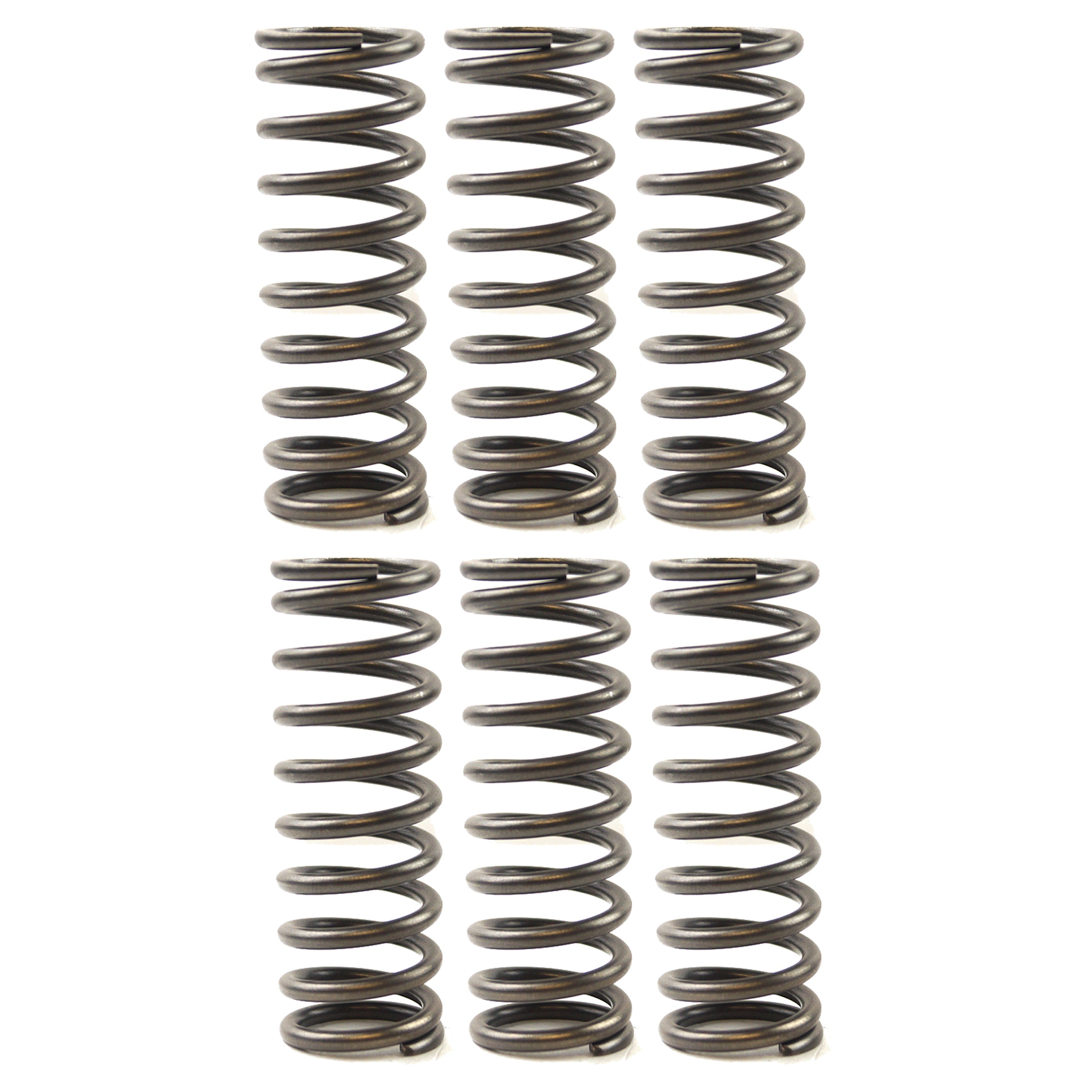 CLUTCH SPRING SET/6 EBC CSK119