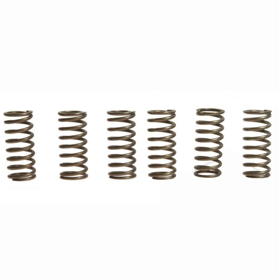 CLUTCH SPRINGS SET/6 EBC CSK141
