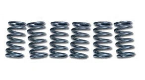 CLUTCH SPRINGS SET/6 EBC CSK148