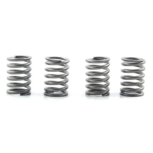 CLUTCH SPRINGS SET/4 EBC CSK151
