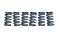 CLUTCH SPRINGS SET/6 EBC CSK163