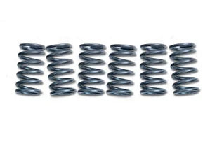 CLUTCH SPRINGS SET/6 EBC CSK163