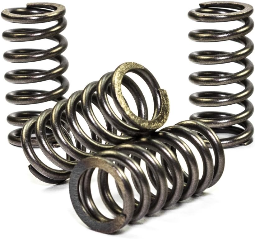 CLUTCH SPRINGS SET/4 EBC CSK105