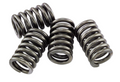 CLUTCH SPRINGS SET/4 EBC CSK172
