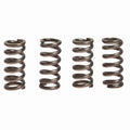 CLUTCH SPRINGS SET/4 EBC CSK174