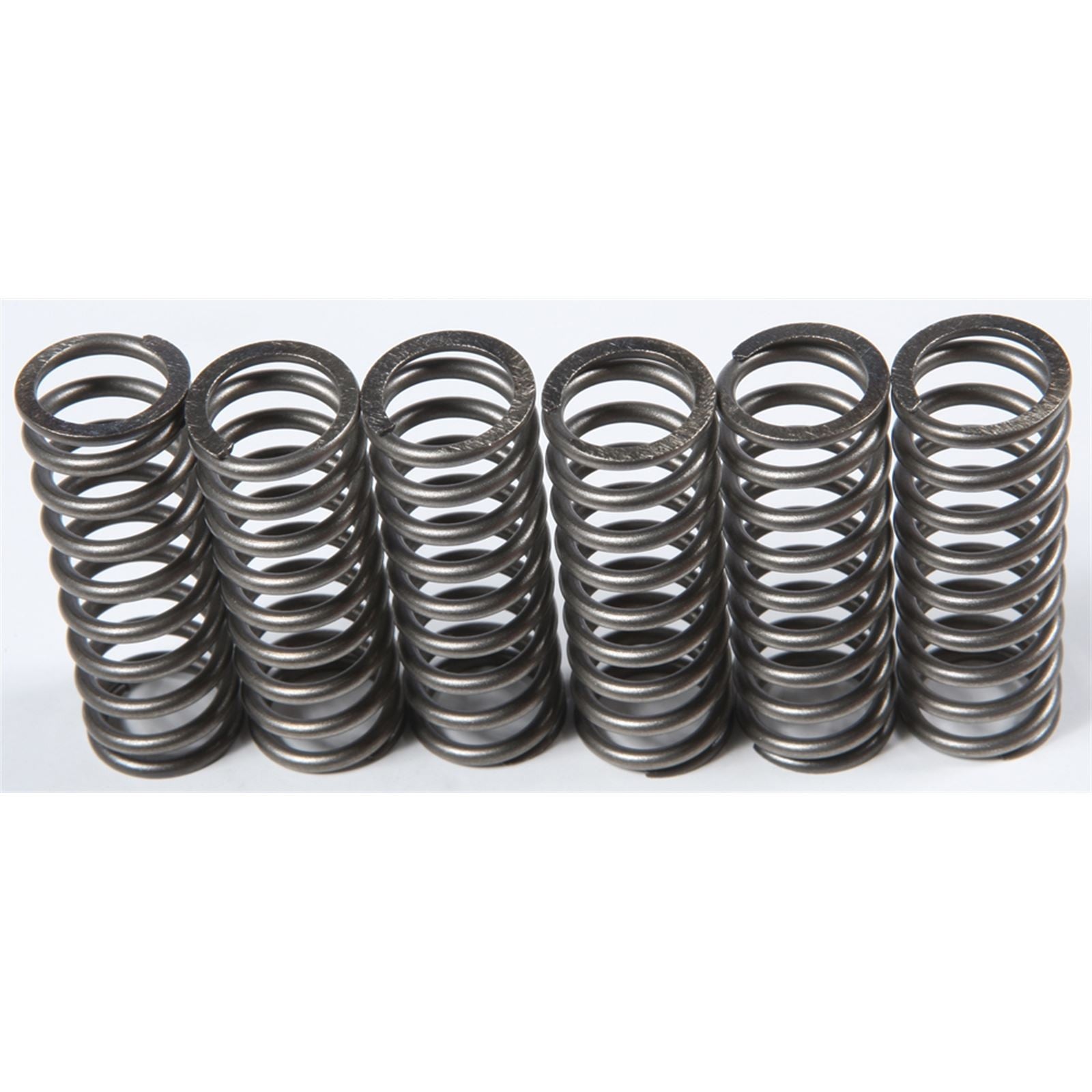 CLUTCH SPRINGS SET/6 EBC CSK201