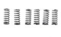 CLUTCH SPRING SET/6 EBC CSK210