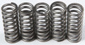 CLUTCH SPRING SET/5 EBC CSK214
