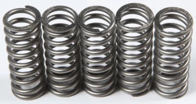 CLUTCH SPRING SET/5 EBC CSK214
