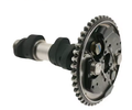 CAMSHAFT AND GEAR YAMAHA GRIZZLY RHINO YFM660 5KM-12170-00-00 5KM-12176-00-00