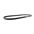 DAYCO 15335 ALTERNATOR WATER PUMP, ACCESSORY DRIVE BELT WORKMAN HDX-D 950CC