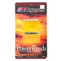 BOYESEN REEDS 6110 CR250R 2003