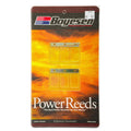 BOYESEN REEDS 619R Maico