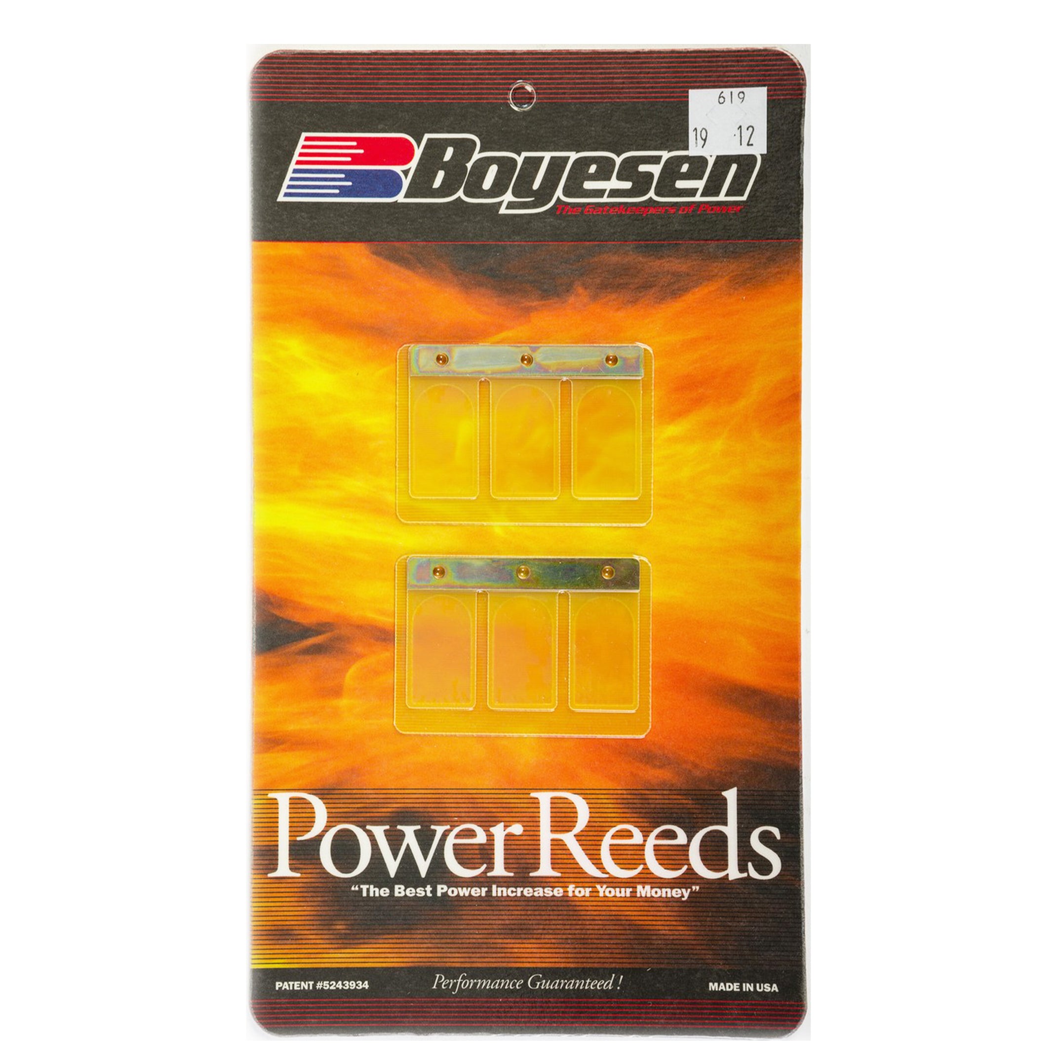 BOYESEN REEDS 619R Maico