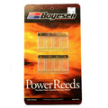 BOYESEN REEDS 621