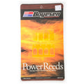 BOYESEN REEDS 628 LT250 85-86