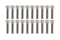 PK/20 M6x25 SS ALLEN CAP, STAINLESS STEEL SCREW