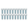 PK/20 M6x16 ALLEN CAP, ZINC COATED