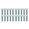 PK/20 M6x20 ALLEN CAP